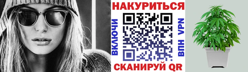 Шишки марихуана OG Kush darknet Telegram Тайга